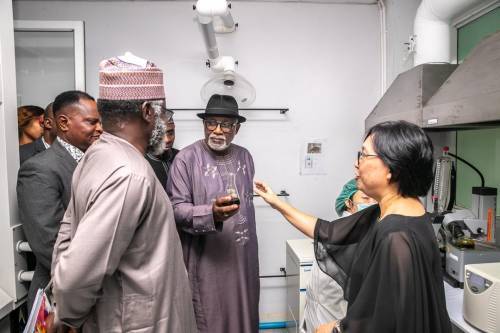 Ondo State Government Begins Procedures To Legalise Cannabis Cultivation