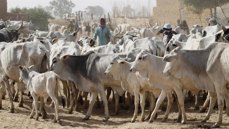 The Need For Proactive Steps Against Killer Herders By Buhari, Governors