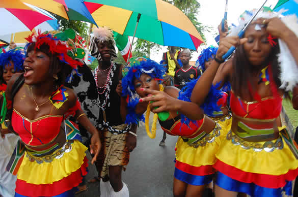 Council Boss Bans Carnivals, Street Jamz in Lagos