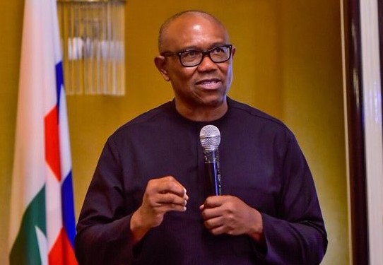 Reactions Trail Removal of Peter Obi’s Campaign Posters in Anambra